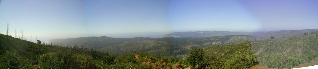 Panoramica. Ladera Sur, punta Curaumilla. by Gerald Foxon