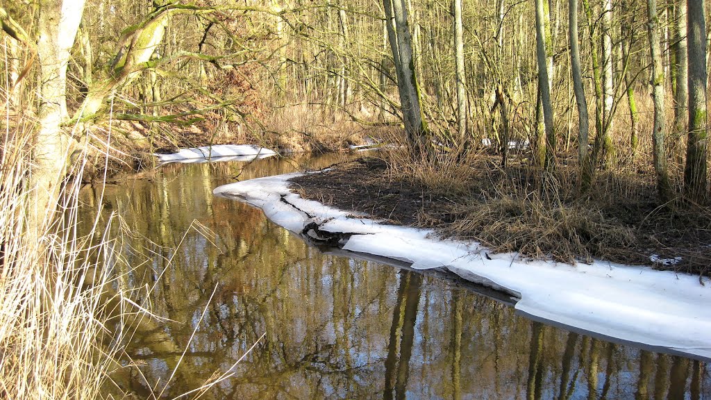 Die Ammersbek im Duvenstedter-Brook zur Winterzeit. by Hans Wolters