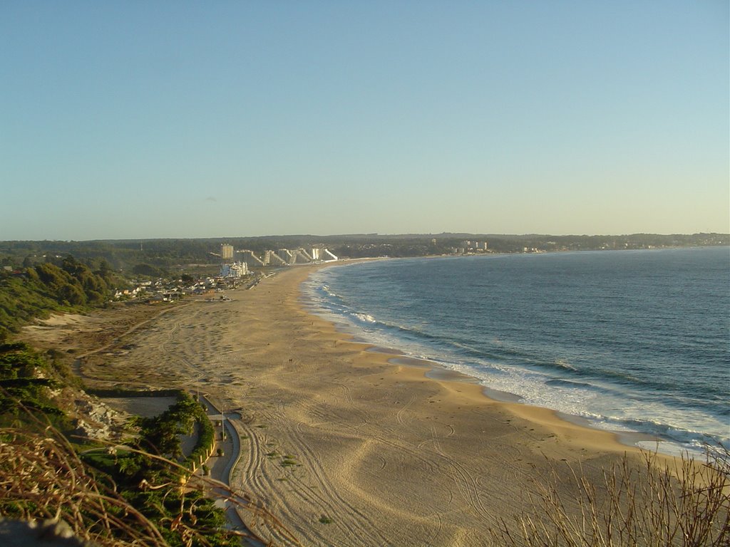 Mirasol en algarrobo norte by ariel_corvalan