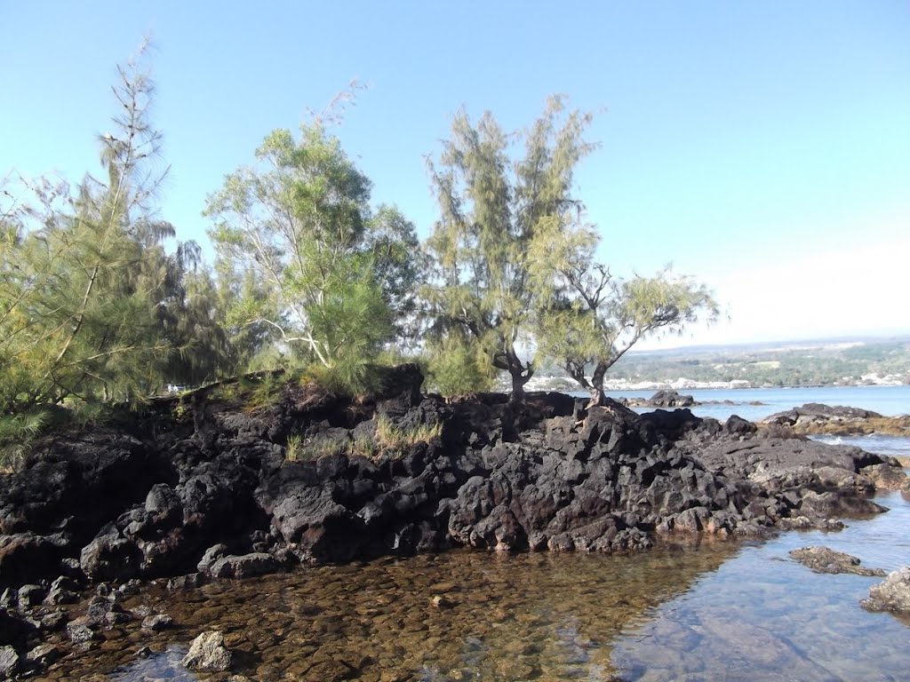 Hilo Bay, The Big Island - Hawaii Cruise - "Golden Princess" - January 2012 by mikstan43