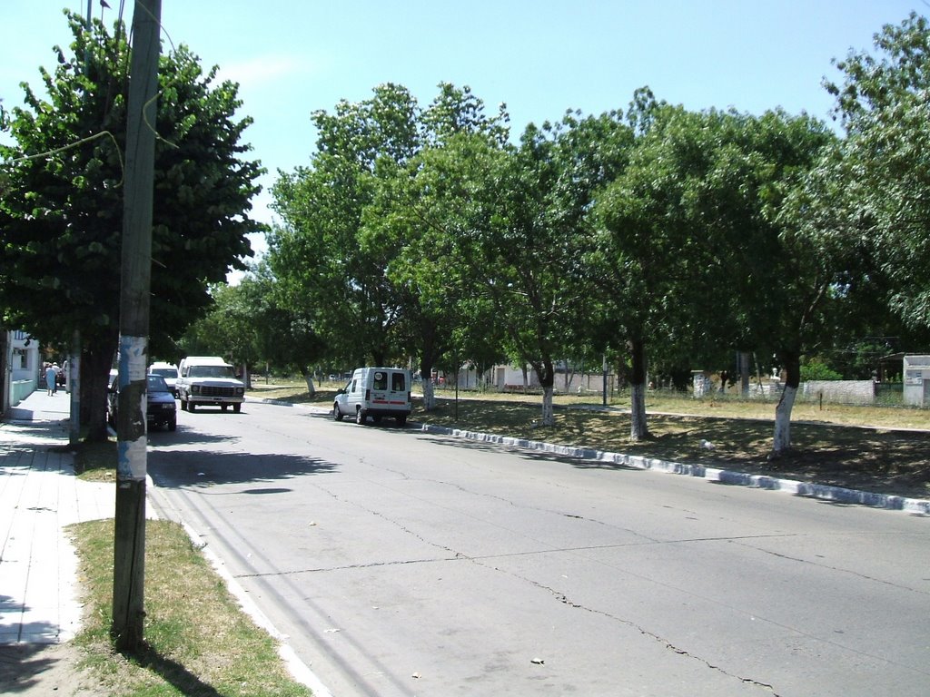 Diciembre de 2007 - Avenida San Martín - Vista hacia el Noroeste by Luis Acosta