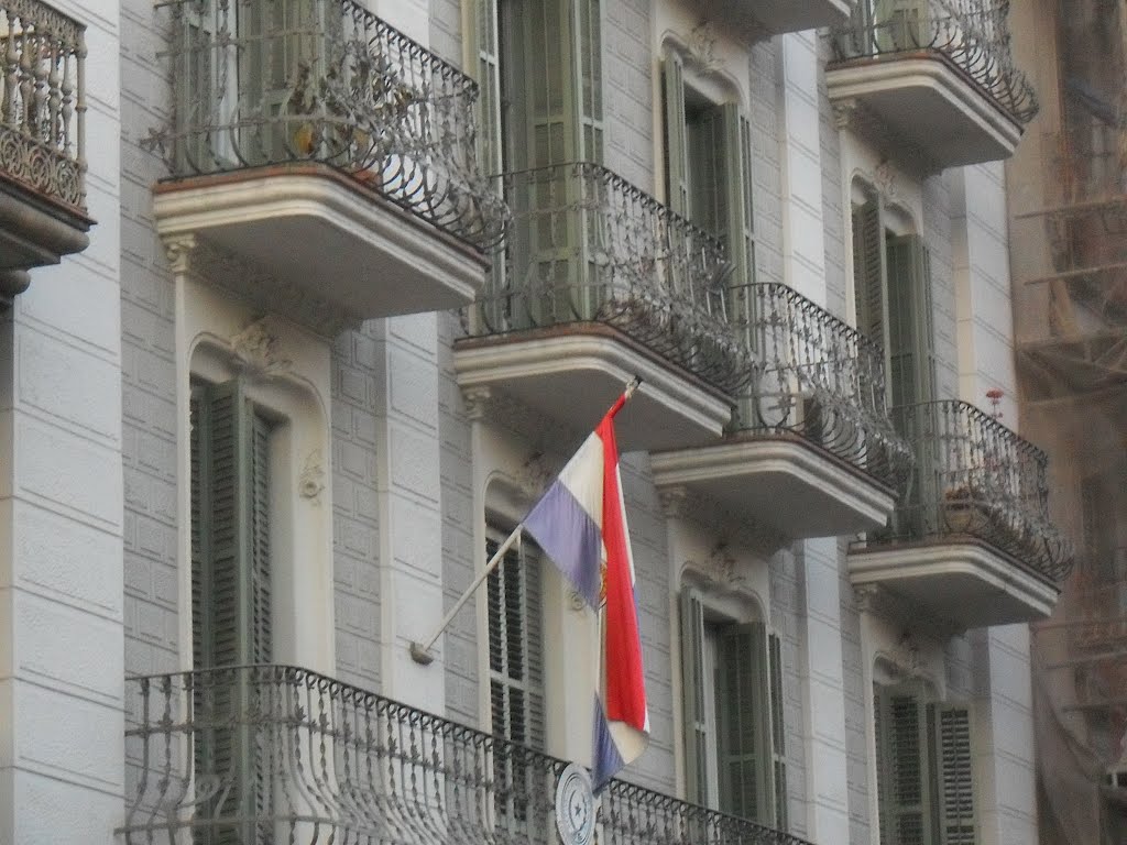 Bandera de paraguay-barcelona by gerardo alberto nuñez