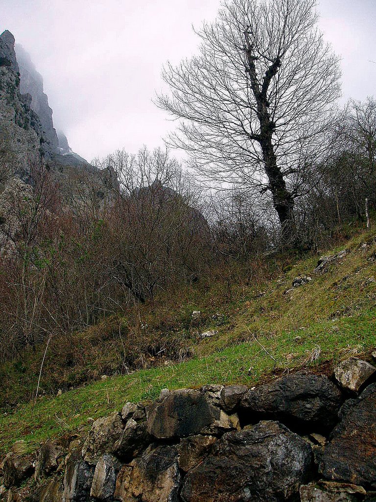 Garganta del Cares, Poncebos, Asturias by Antonio Alba