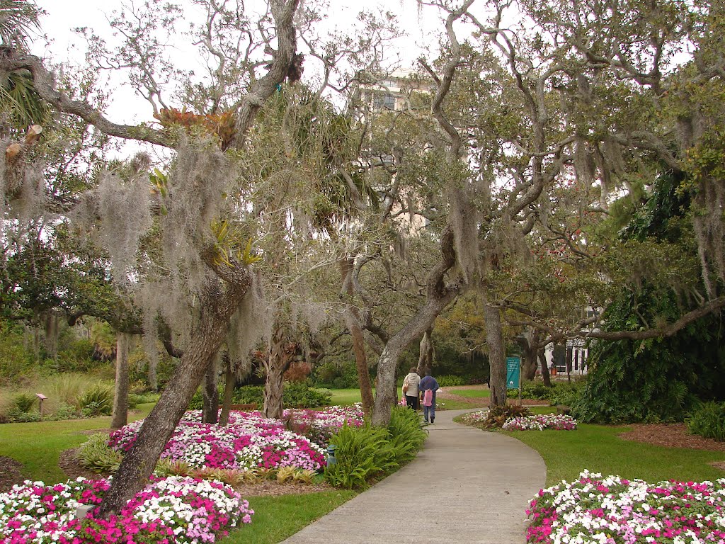 Selby Botanical Gardens in Sarasota Florida by Joseph Hollick