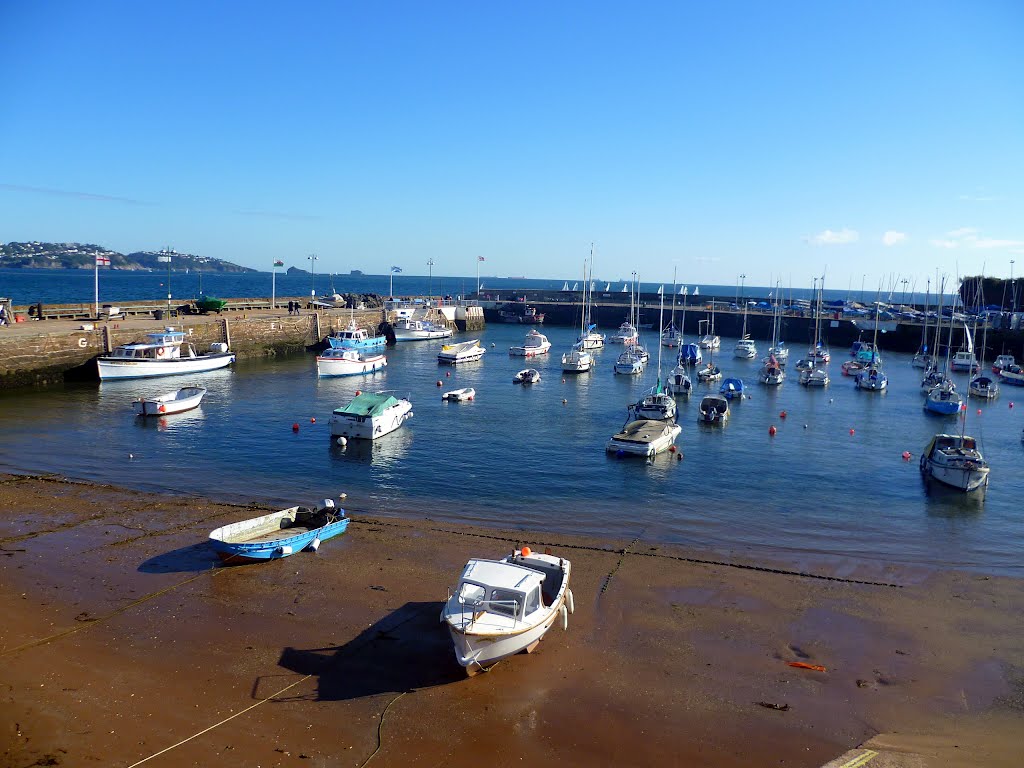 Paignton Harbour by Blakob