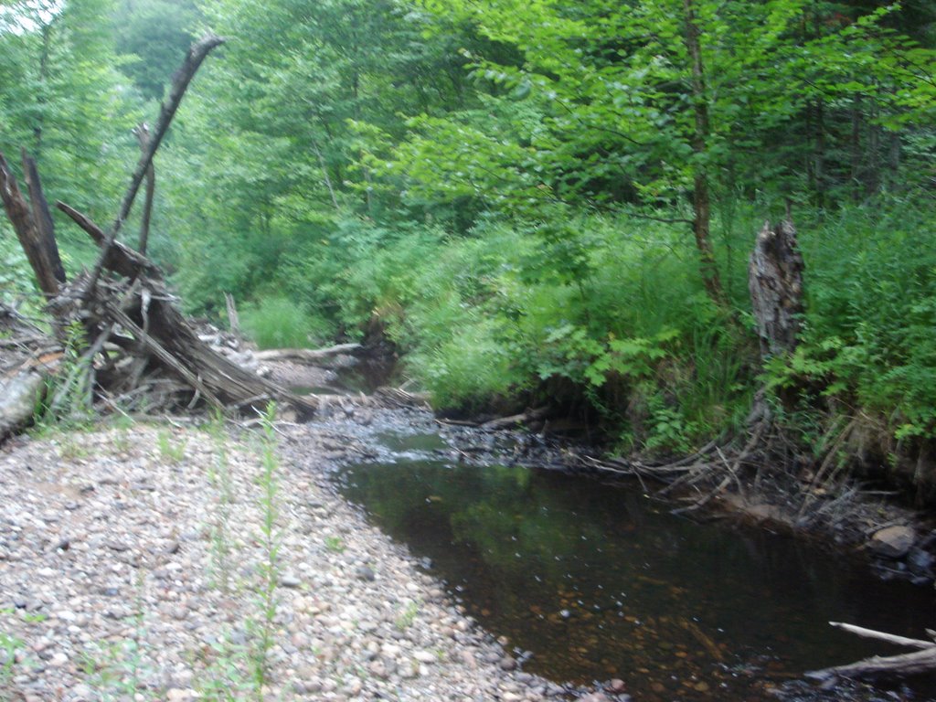 Little Carp River by Billy Wilson