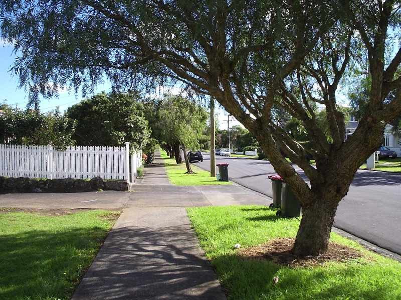 Street scenery Auckland New Zealand near Telford by tagabohol