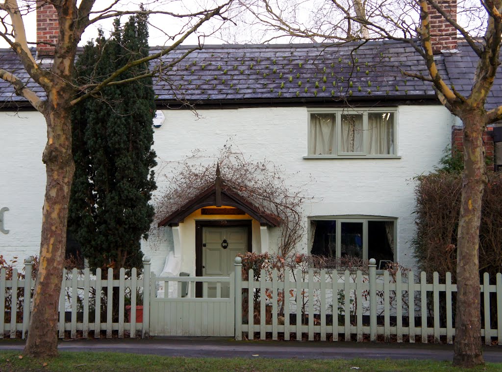 Wilmslow, Knutsford Road by Dennis Neill