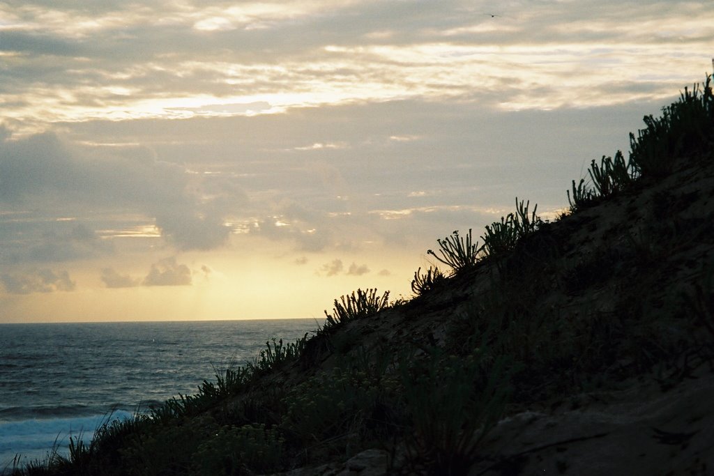 Crépuscule sur l'Atlantique au Cap Ferret by sebg05