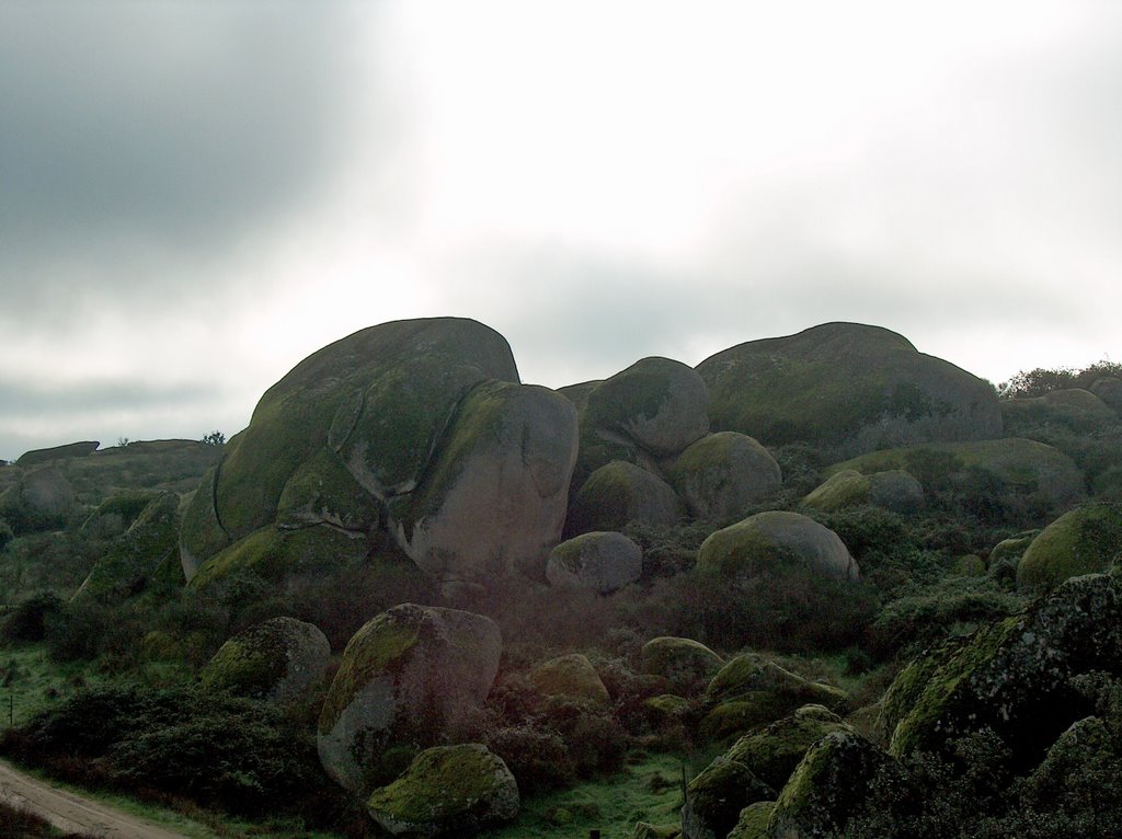 Rocas en el Barrueco de arriba by Ricardo Pérez