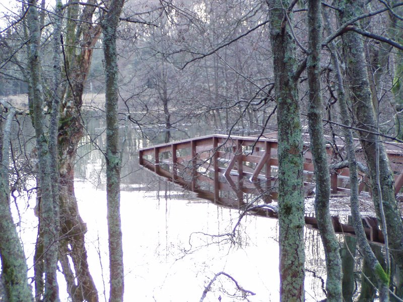 High Water at Bridge by lussonline