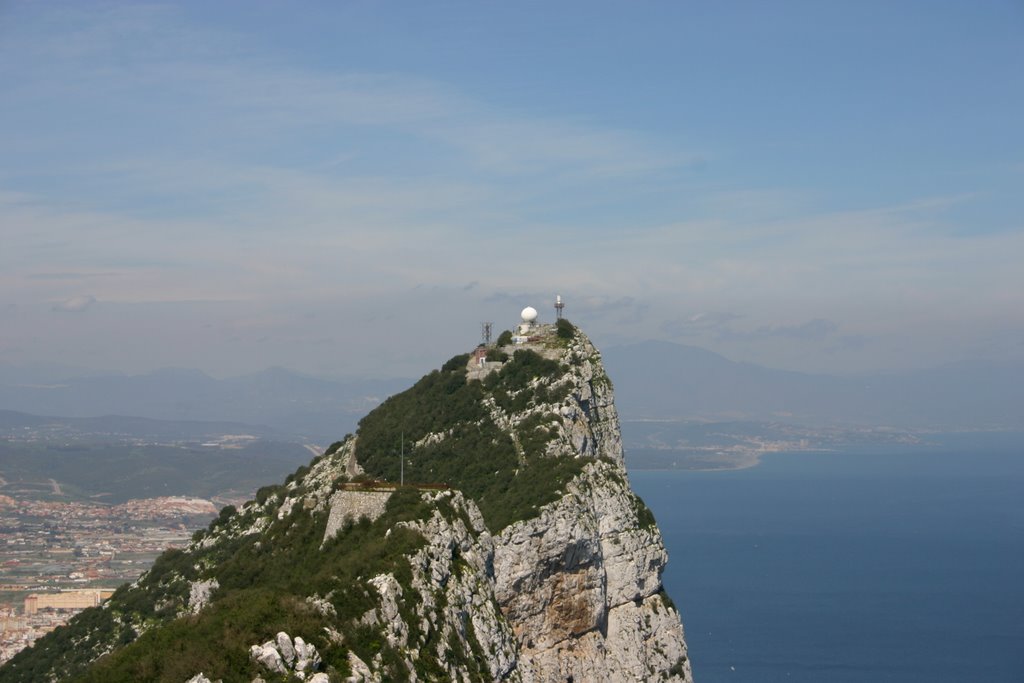 Looking to the top by Michael Dittrich