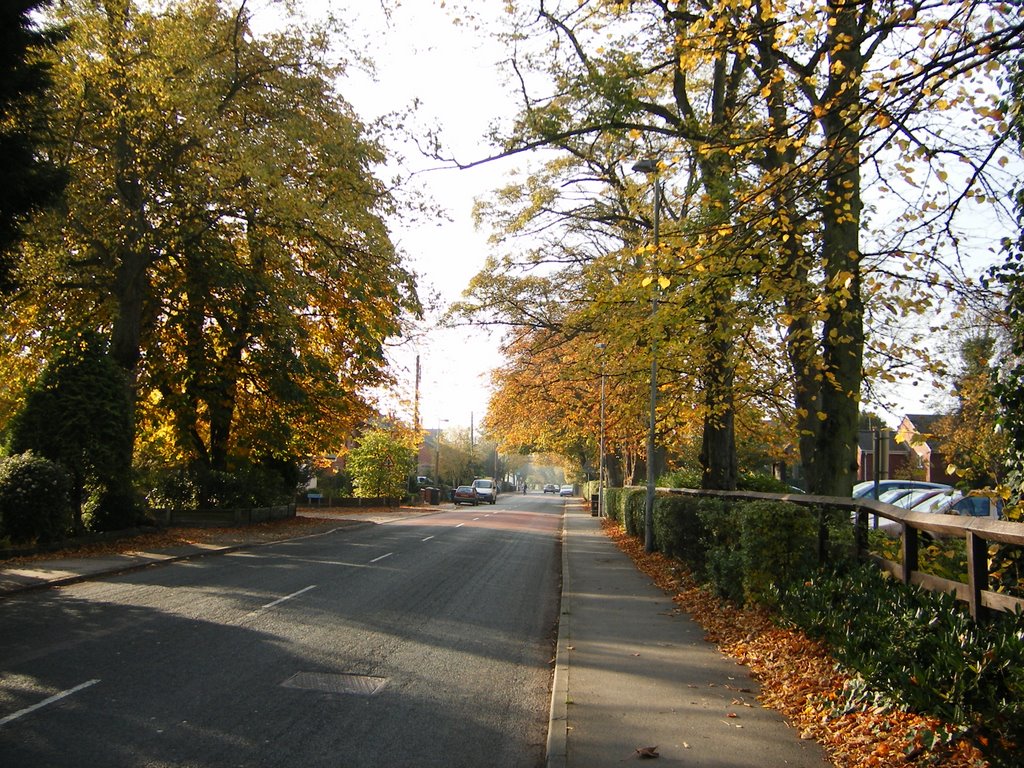 Longton, Liverpool Road by russbomb