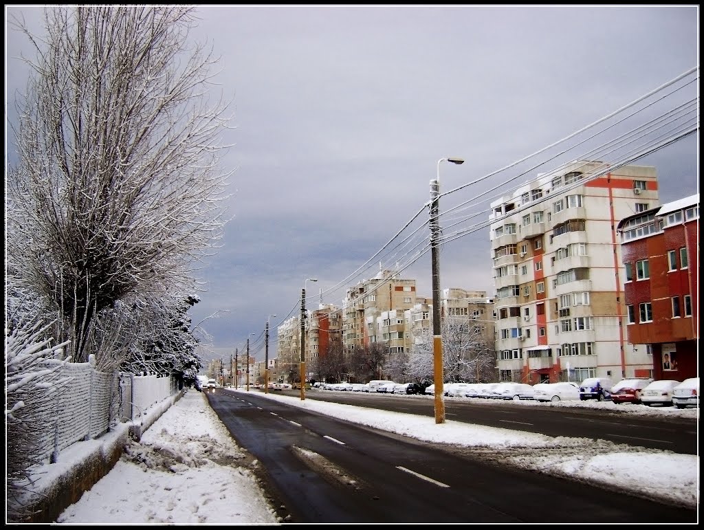 Strada Dezrobirii by Sergiu Gabriel Sîrbu