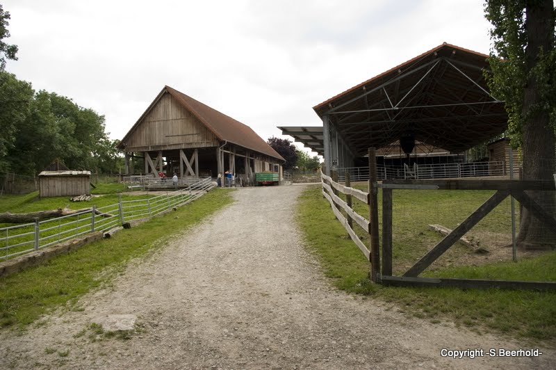 Kloster Volkenroda >>Klostergut/Bauernmarkt<< by harrypro99