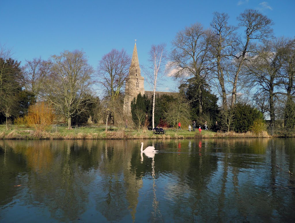 Swan Lake in Deene Park by AndyDij