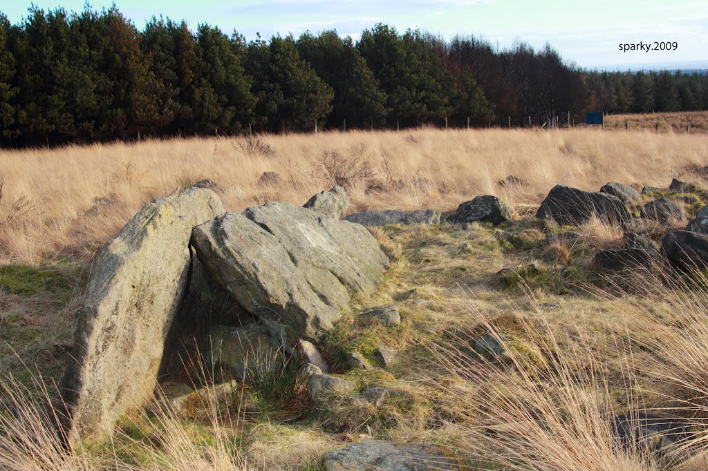 The Pike Stones by sparky.2009