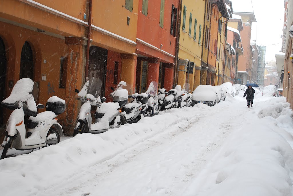 Via Polese Bologna Neve febb.2012 by GIORGIA