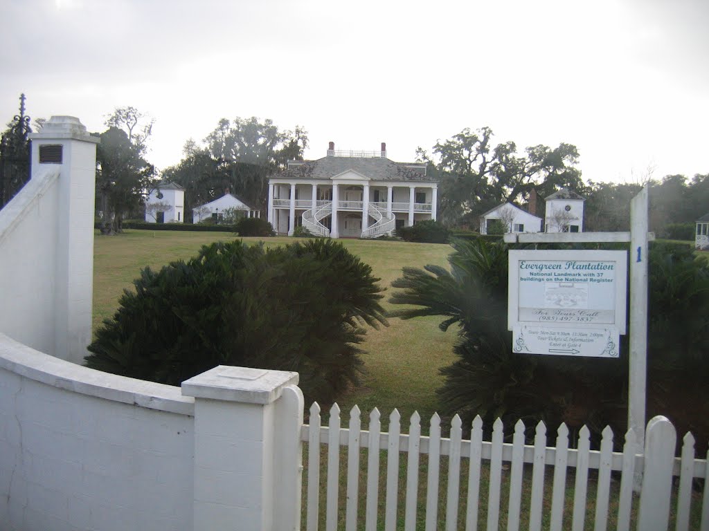 Evergreen plantation by perkins4