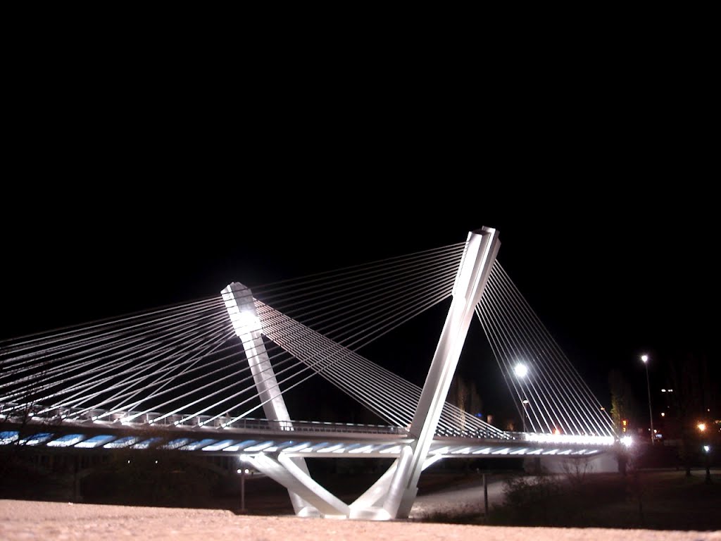 Lleida. Pont Príncep de Viana by VIVATIJOLA