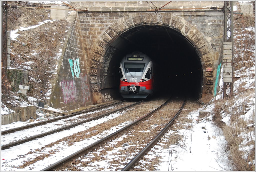 Stadler Flirt a Déli alagútjában by r63Roadmaster