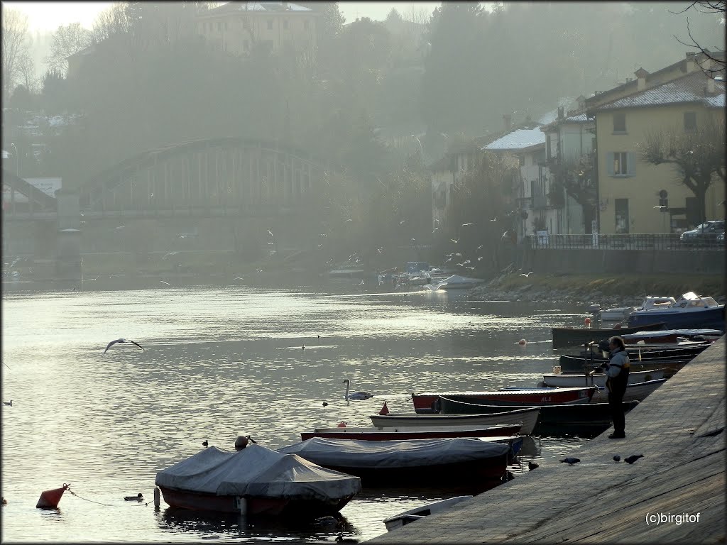 Brivio in controluce - Backlight River Adda by birgitof