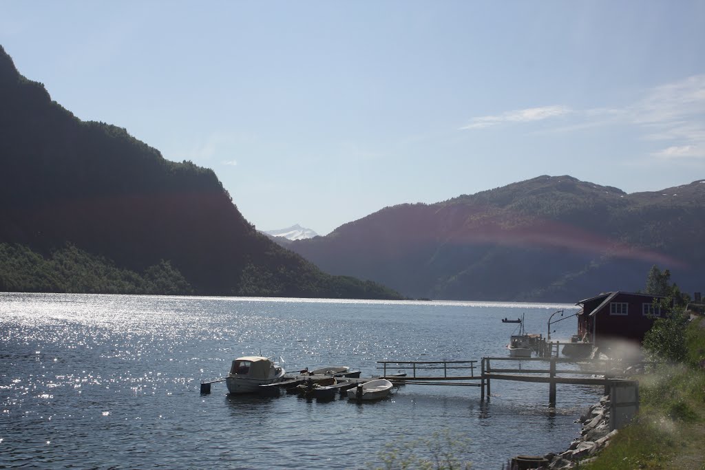 Le Storfjord à Stordal by Narciso Videira