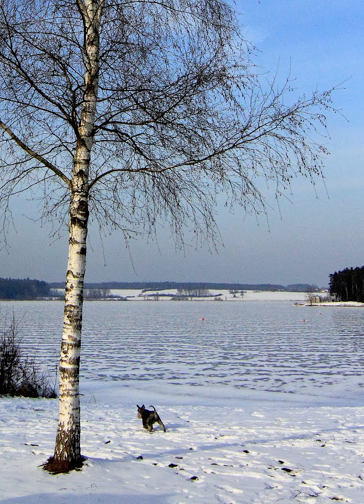 Rothsee im Winter - D by gregor.h