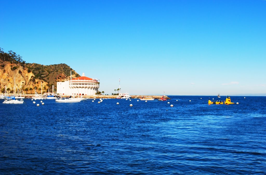 Catalina Island by 🌴SoCal-Dude😎🌴