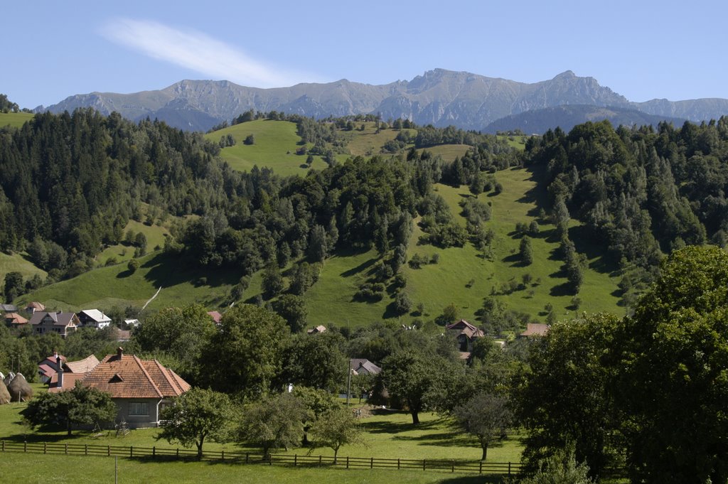 Near Bran, Romania by Michael Griffin