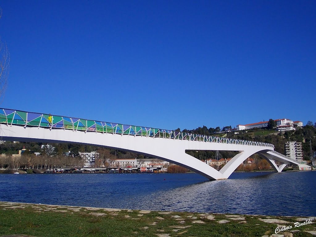 Inverno Parque do Choupalinho- Coimbra - Portugal by CidonioRinaldi