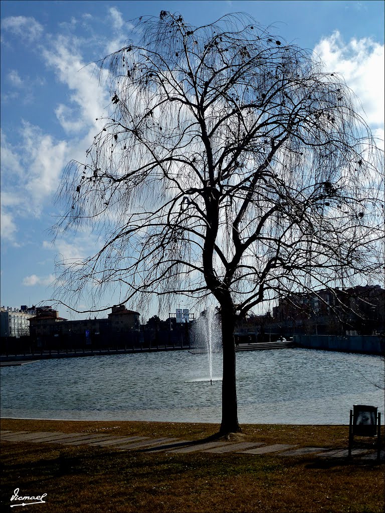 120219-03 PARQUE DE LOS TAPICES DE GOYA by VICMAEL