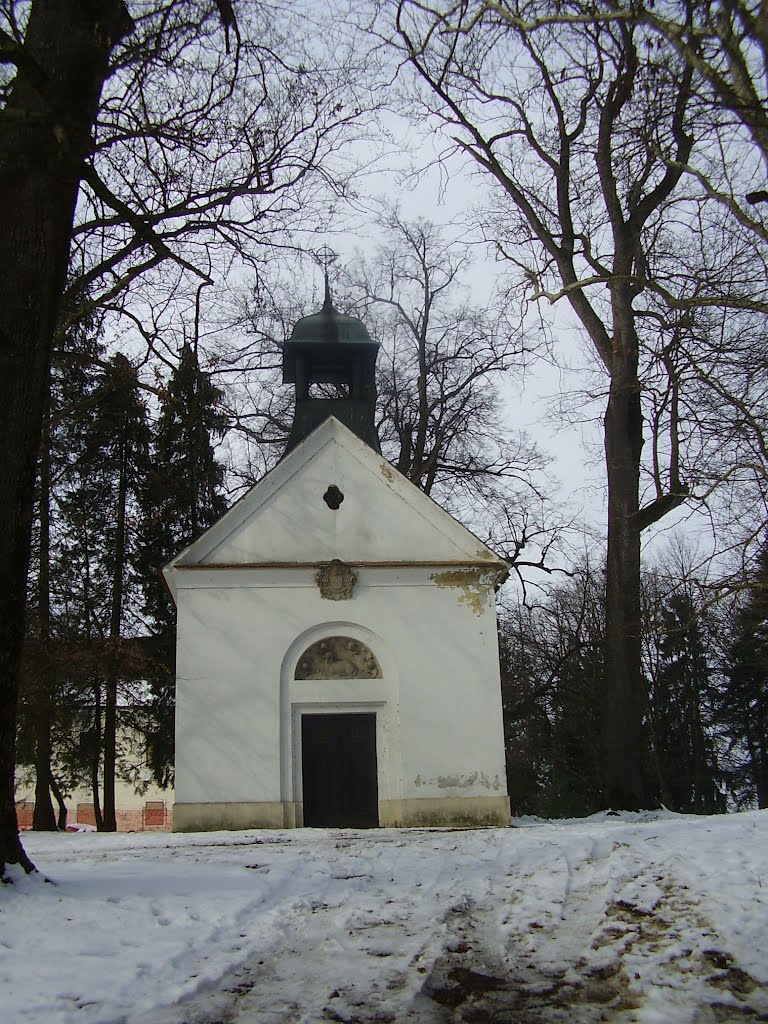 Dvorac Brezovica, kapelica, veljača 2012, b by oweinacht