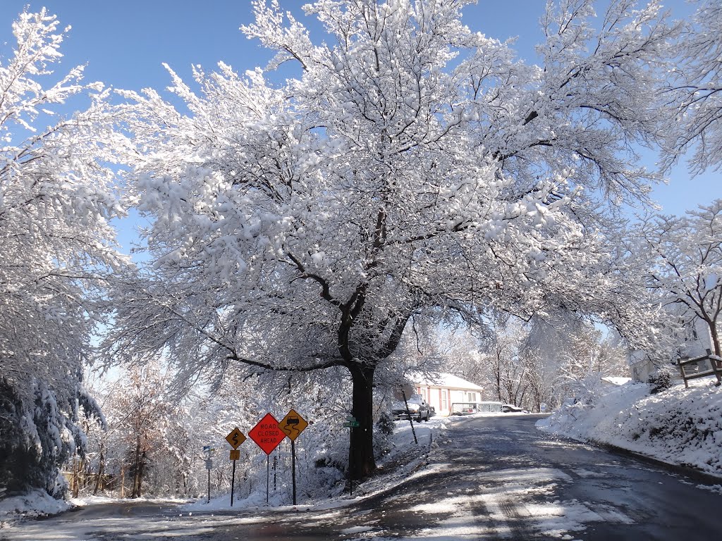 Beautiful Morning snow Scene by DieselDucy