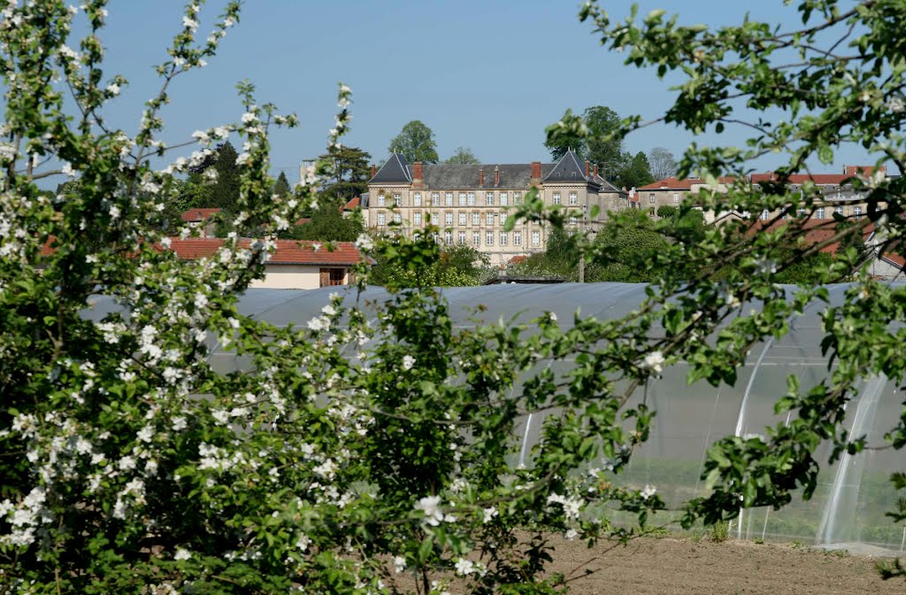 Ecole des minimes, vue des remparts by acesar55