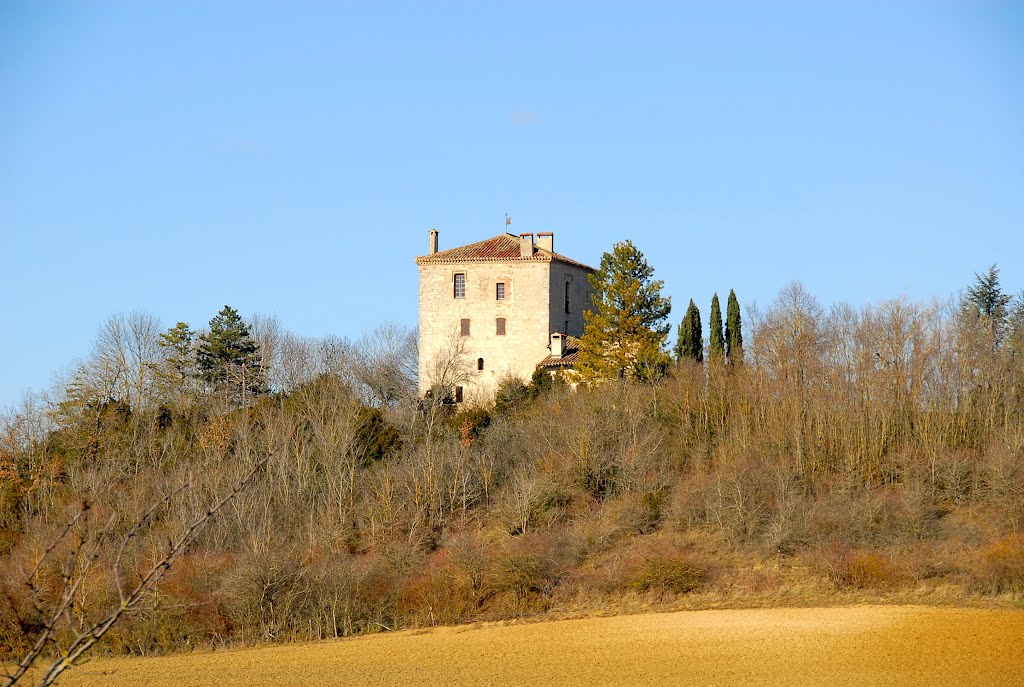 Château de Serres, XVIe siècle by F@M