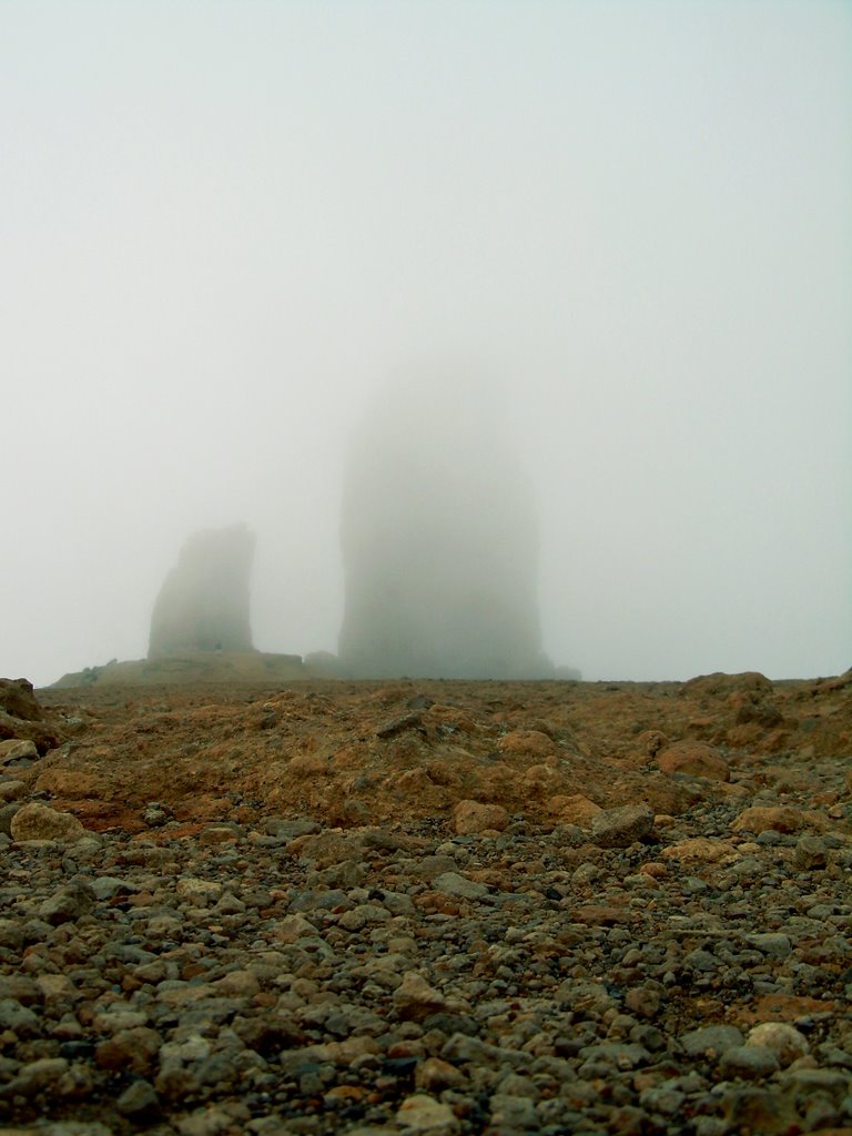 Paisaje marciano (Roque Nublo) by hinojose