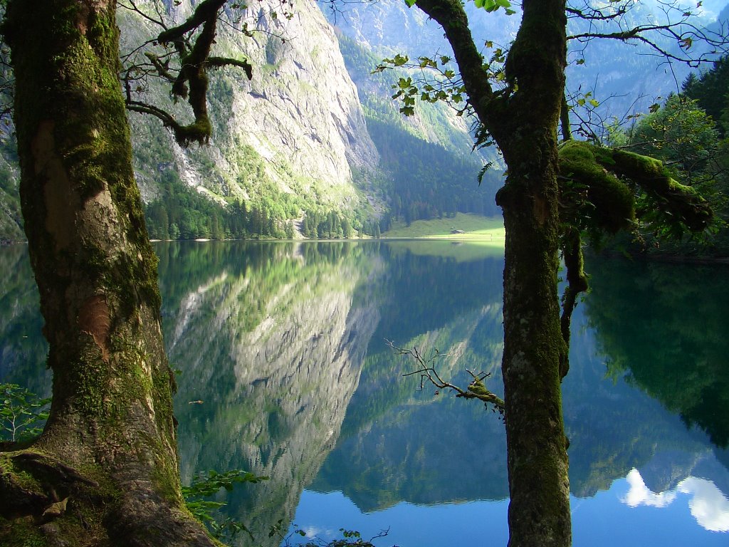 Spiegelung am Obersee by Josef Hagemann