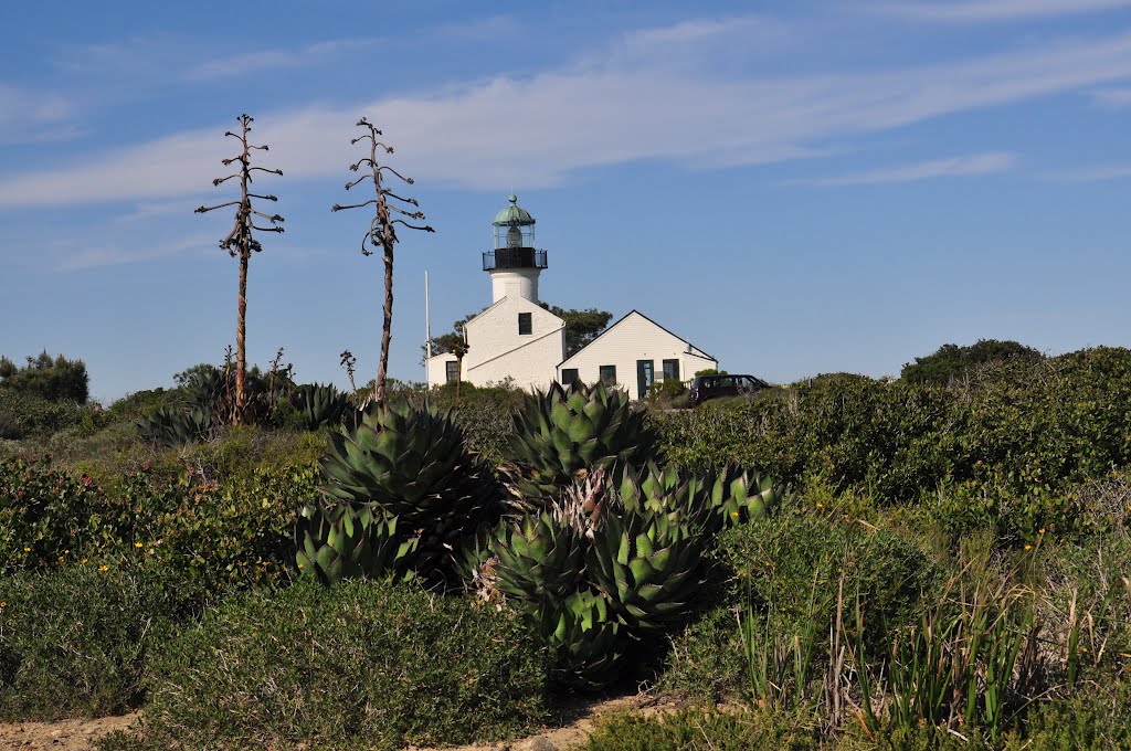 Native San Diego plants with Lighthouse by NadoHeinz