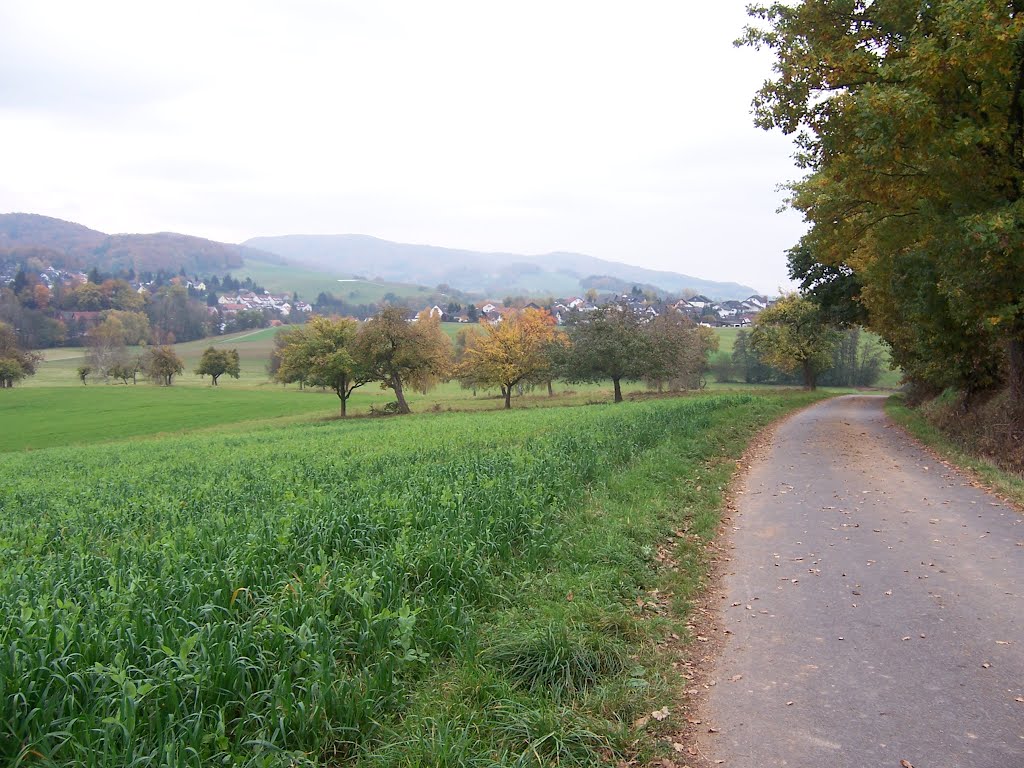 Reichelsheim im Odenwald by Wutzchen