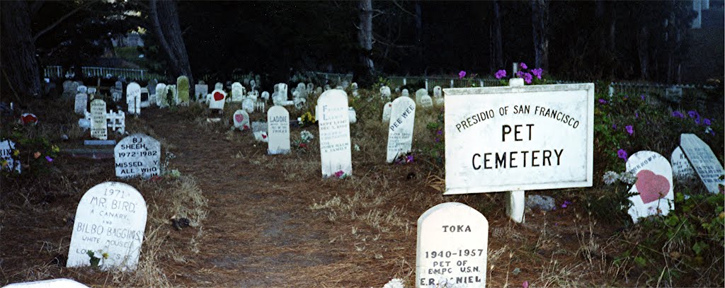 Old Pet Cemetary in San Fransisco by kesh1967