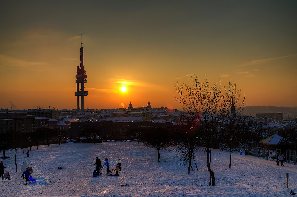 Zimní radovánky s výhledem na Žižkovskou televizní věž / Winter fun with a view of the Zizkov TV tower. by Premysl