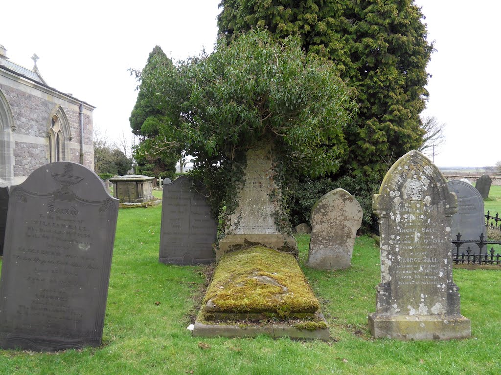 Green is good but I need a trim, St Andrew the Church at North Killworth village. by Bobsky.