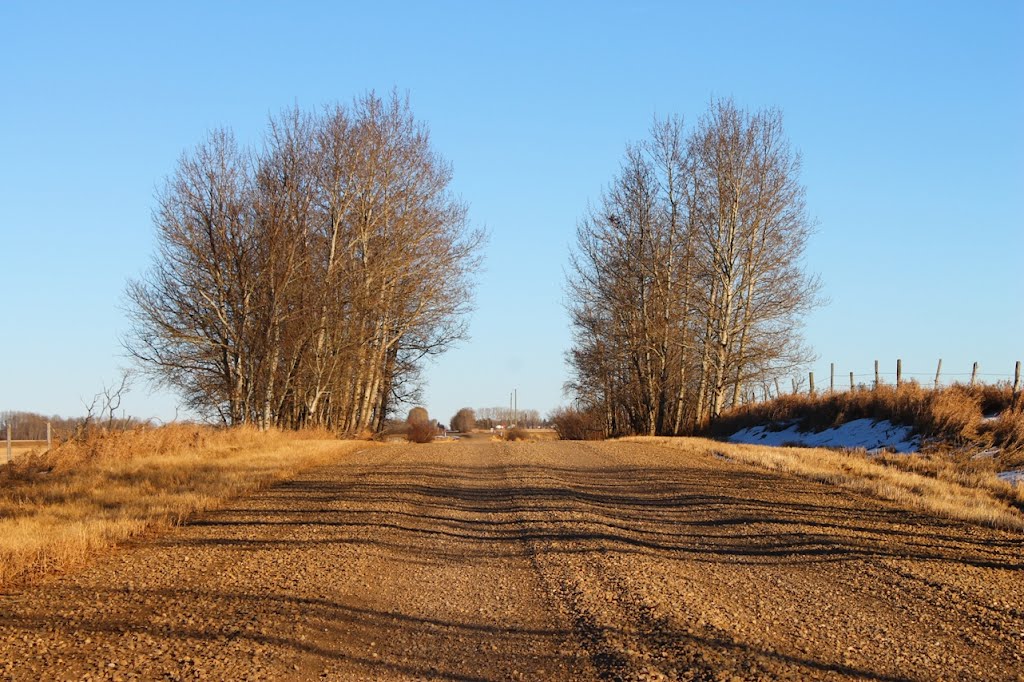 Back Country Road by Amandyg