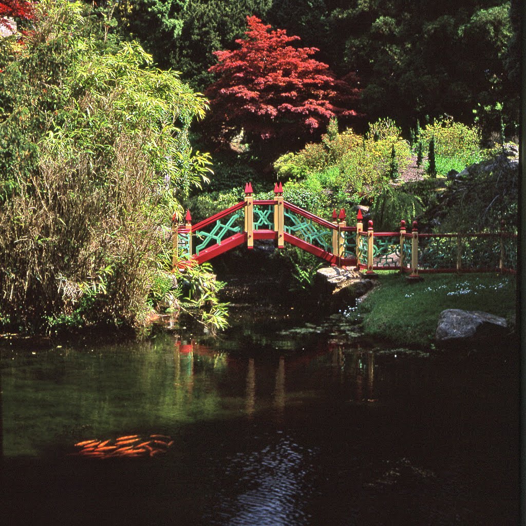 Biddulph Grange. by Bob McCraight