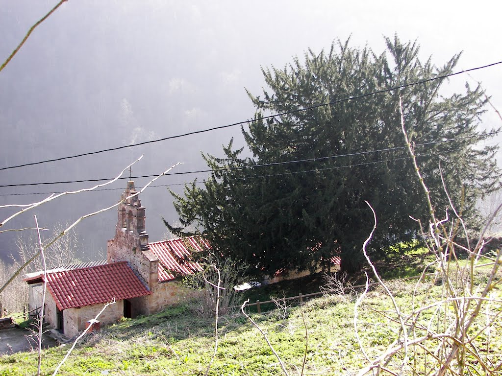 San Juan. Montovo. BELMONTE DE MIRANDA. by Fernando Fernandez Justiniano