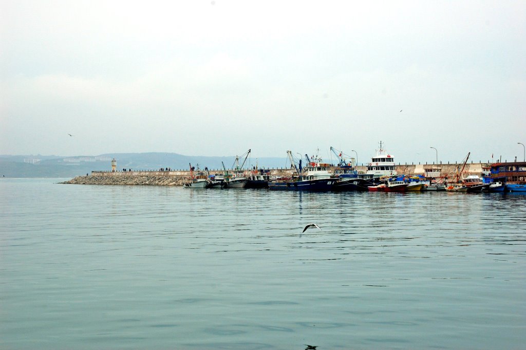 Fisherman's Port, Sile, Istanbul by Seref Halicioglu