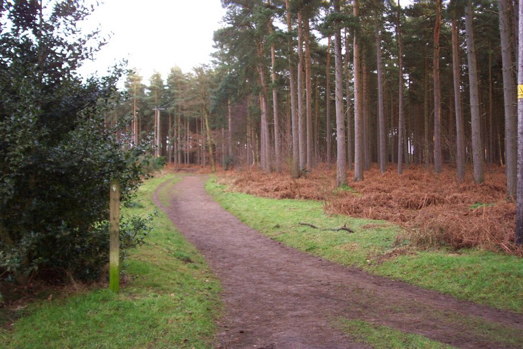 Aspley Heath by fencer_js@yahoo.com