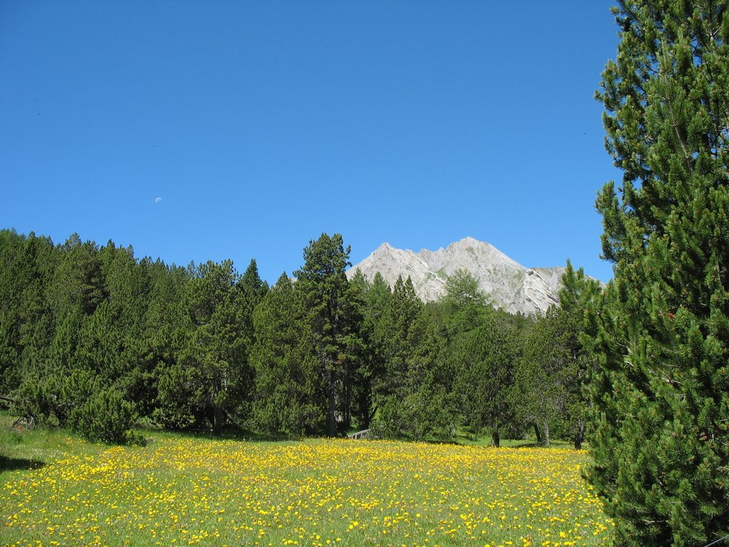 Valdidentro, Province of Sondrio, Italy by davide_cava