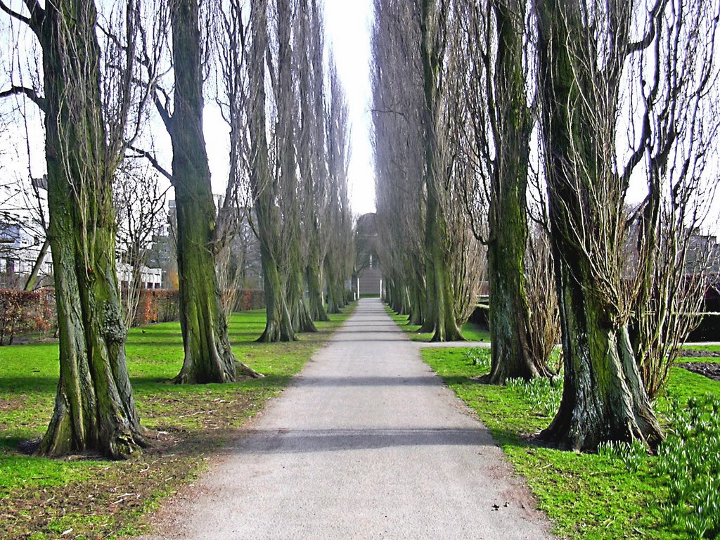 Boymans museumpark (viewing south) by Joop Heijberg